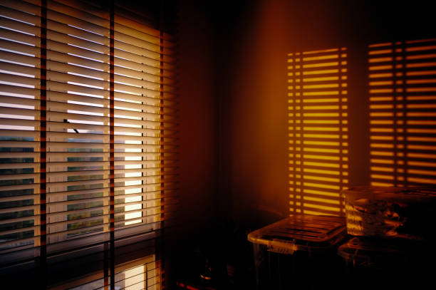 Windows Blinds